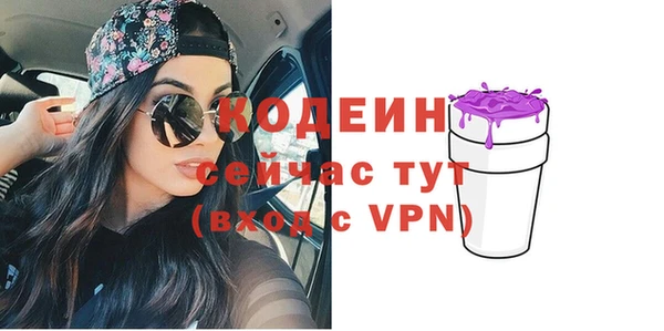 индика Горняк