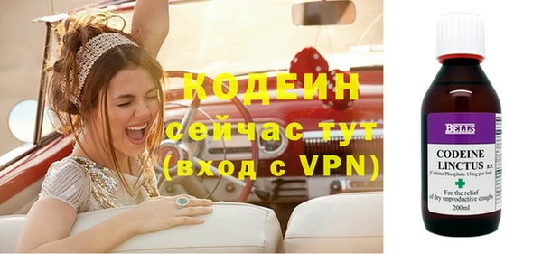 индика Горняк