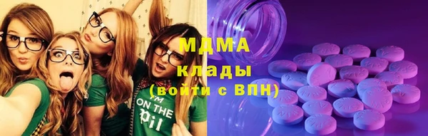 индика Горняк