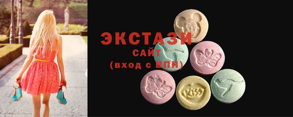 индика Горняк