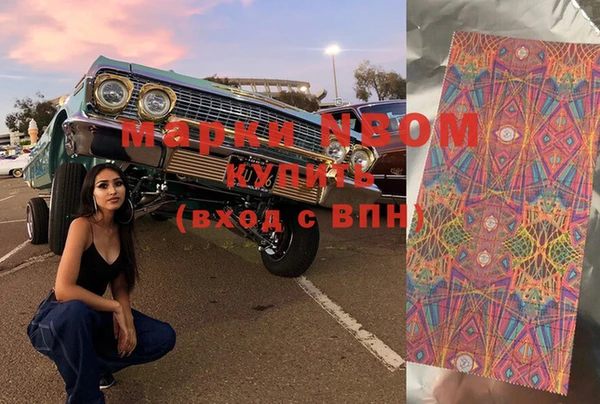 стаф Горнозаводск