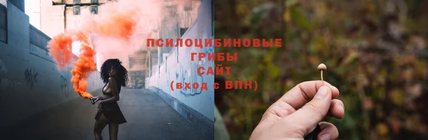 стаф Горнозаводск