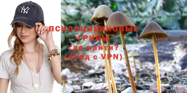 стаф Горнозаводск