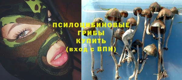 стаф Горнозаводск