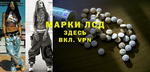 индика Горняк