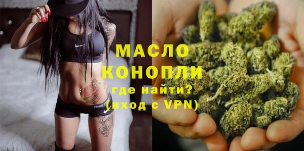 индика Горняк