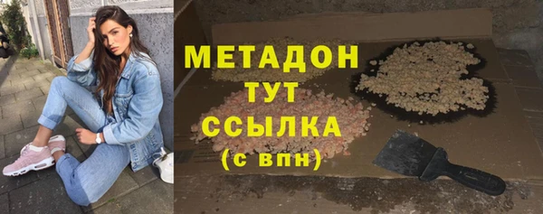 индика Горняк