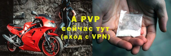 индика Горняк