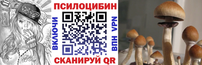 blacksprut сайт  Мценск  Галлюциногенные грибы MAGIC MUSHROOMS 